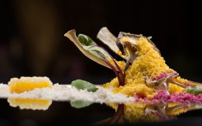 Le Monde à Table : Vos Guides Ultimes pour des Voyages Culinaires Inoubliables !