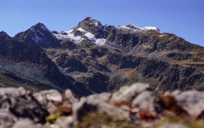 Mythes et Réalités : Ce que votre groupe sanguin dit (ou ne dit pas) de votre personnalité