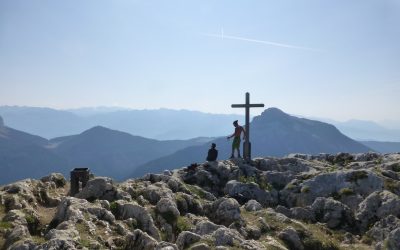 Groupes Sanguins : Entre Science Vitale et Fascinations Populaires