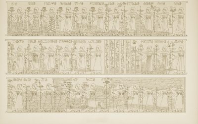 Groupes Sanguins et Personnalité : Mythe ou Réalité Culturelle Fascinante ?