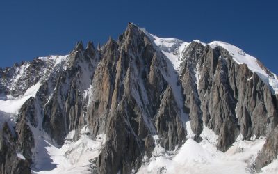 Le Mythe Fascinant des Groupes Sanguins et de la Personnalité : Démêler le Vrai du Faux