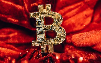 Maîtrisez la Volatilité : Le Dollar-Cost Averaging (DCA) pour un Investissement Crypto Intelligent en 2026