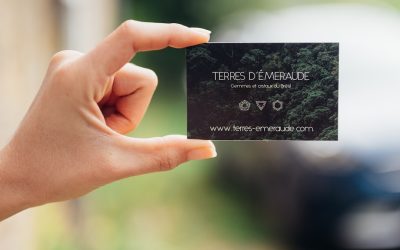 Transformez Votre Passion en Profit : Le Blog Rentable avec WordPress en 2026