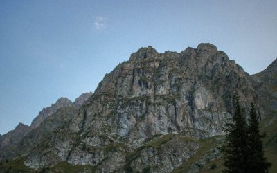 Groupe Sanguin et Personnalité : Mythe Culturel ou Réalité Scientifique ?