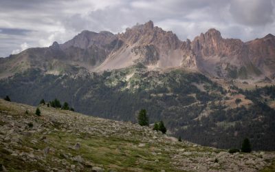 Groupes Sanguins et Compatibilité : Mythes, Réalités et Dernières Découvertes en 2026