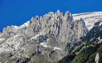 Groupes Sanguins et Personnalité : Démêler le Vrai du Faux en 2026 🩸