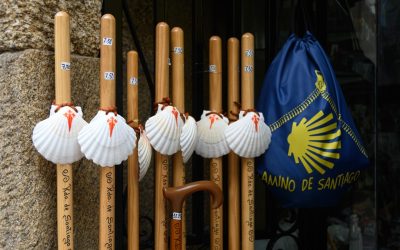 Groupes Sanguins et Personnalité : Mythe ou Réalité Scientifique ?