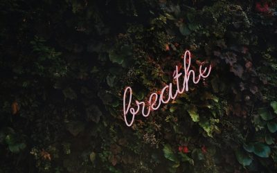 L’Amour sous les Étoiles : Décrypter la Compatibilité Astrologique en 2026 ✨