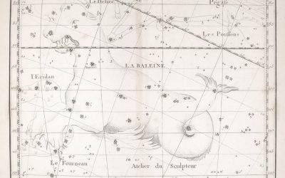 La Compatibilité Amoureuse Astrologique en 2026 : Mythe, Tendances et Réalité ✨
