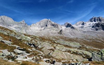 Les Groupes Sanguins : Bien Plus Qu&rsquo;une Simple Lettre sur Votre Carte Vitale