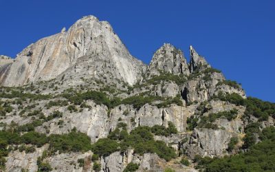 Les Groupes Sanguins et la Personnalité : Mythe ou Réalité Culturelle ?