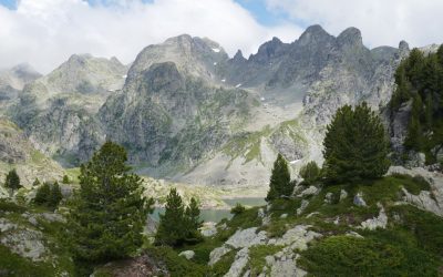 Démêler le Vrai du Faux : Mythes et Réalités des Groupes Sanguins au-delà de la Personnalité