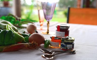 Gastronomie et Voyage : Un Festin pour les Sens Autour du Monde en 2026 !