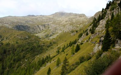 Groupe Sanguin et Personnalité : Mythes, Réalités et les Dernières Découvertes Scientifiques