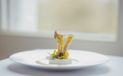 L’Odyssée Gourmande : Vos Meilleures Destinations et Astuces Culinaires en 2026 !