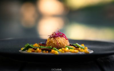 L&rsquo;Odyssée Culinaire de 2026 : Explorez les Saveurs du Monde et Nos Astuces de Pro !