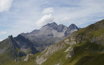 Les Mythes et Réalités des Groupes Sanguins : Personnalité et Compatibilité en 2026