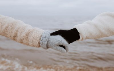 Déchiffrer l&rsquo;Amour et l&rsquo;Amitié : Le Guide Ultime de la Compatibilité MBTI en 2026