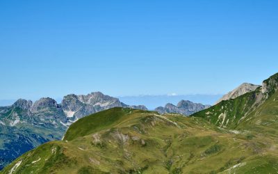 Groupes Sanguins et Compatibilité : Entre Mythes et Réalités Scientifiques