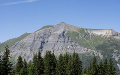 Groupes Sanguins et Personnalité : Mythes, Tendances Culturelles et Réalité Scientifique