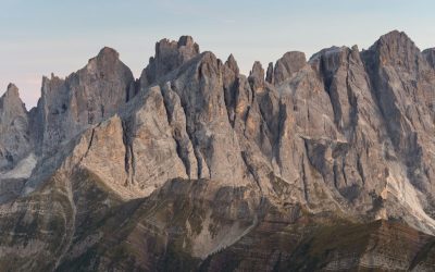 L&rsquo;importance vitale des groupes sanguins : bien plus qu&rsquo;une simple classification