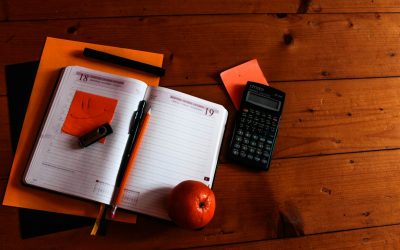 Transformez Votre Passion en Profit : Le Guide Ultime du Blog Rentable avec WordPress en 2026